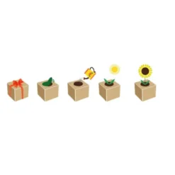 Sonnenblume ecocube, Pflanze im Holzwürfel