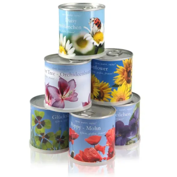 Sonnenblume in der Dose – Happy Birthday Pflanzset
