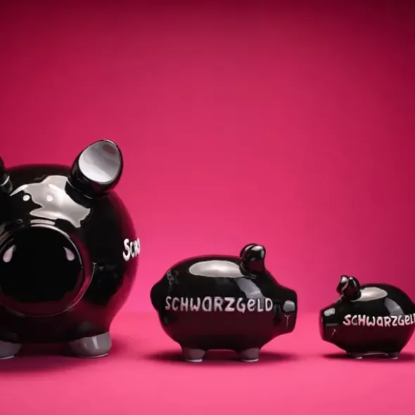 Sparschwein Schwarzgeld