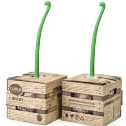 Toilettenbürste Cherry