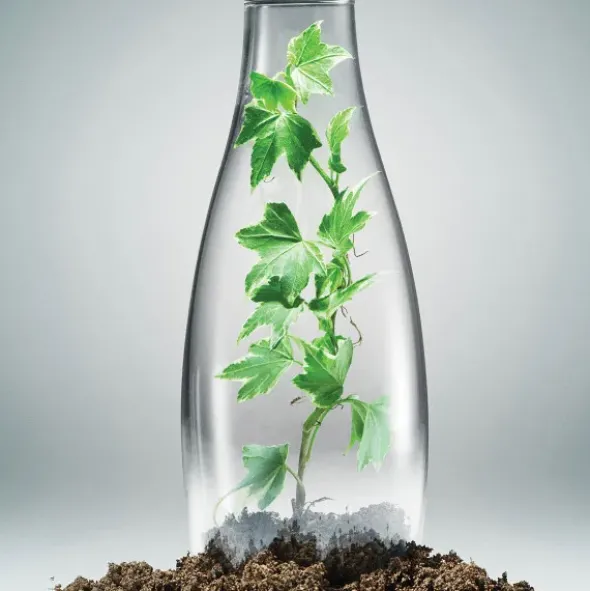 Trinkflasche 0,8 l grün