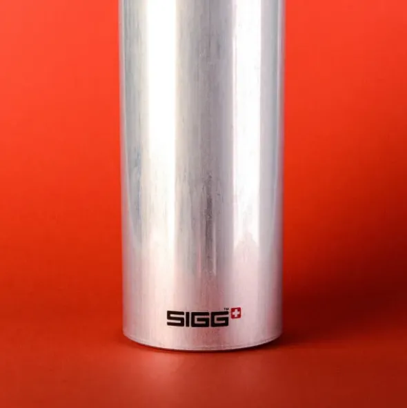 Trinkflasche TRAVELLER 1,0 l silber