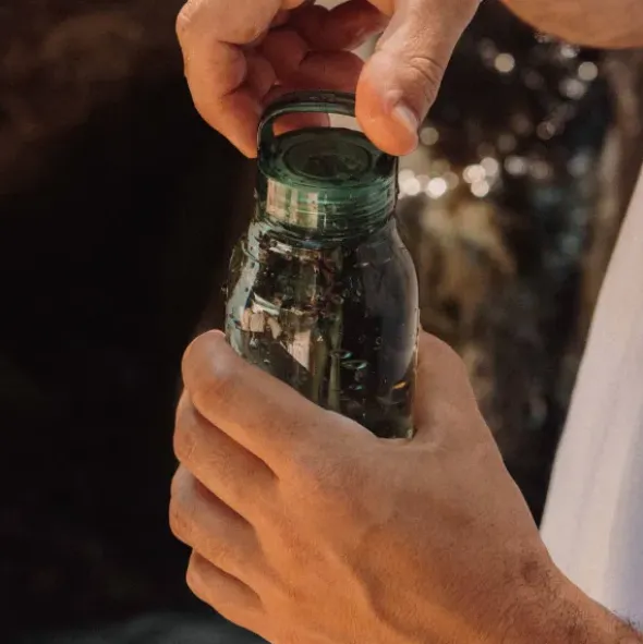 Trinkflasche WATERBOTTLE 300 ml mit Tragegriff, grün