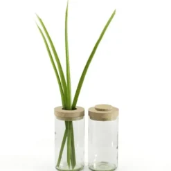 Vase & Dose - Glasbehälter klarglas mit Holzdeckel - Blumenvase oder Vorratsglas