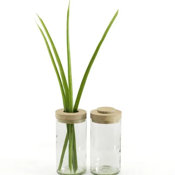Vase & Dose - Glasbehälter klarglas mit Holzdeckel - Blumenvase oder Vorratsglas
