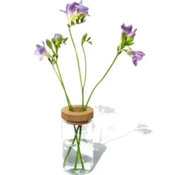 Vase & Dose - Glasbehälter klarglas mit Holzdeckel - Blumenvase oder Vorratsglas