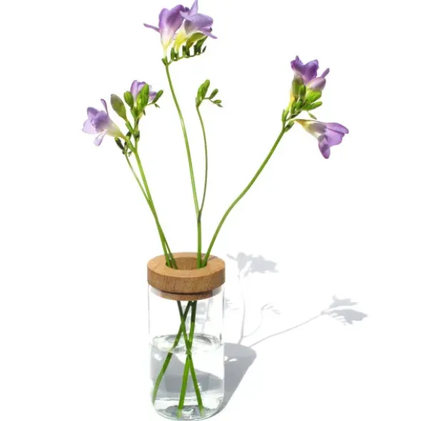 Vase & Dose - Glasbehälter klarglas mit Holzdeckel - Blumenvase oder Vorratsglas