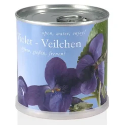 Veilchen Pflanze in der Dose – Anzuchtset mit Samen & Ganulat