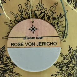 Wundertüte - Rose von Jericho